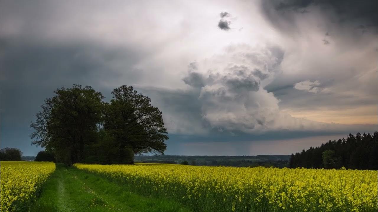 Foto zu 5.5.2023 - Superzelle bei Weißenhorn (BY) - YouTube 