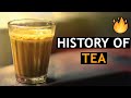 Story of Tea in India | चाय की कड़क कहानी