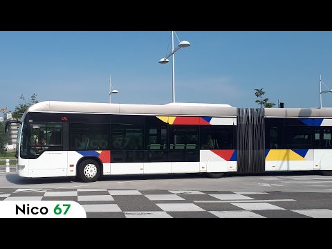 Bus & BHNS de Strasbourg à l'Espace Européen de l'Entreprise (6 juin 2018)