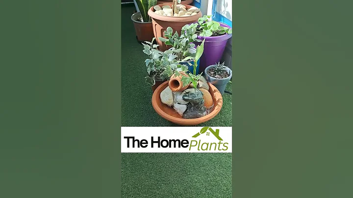 DIY Garden Fountain: Create a Stunning Water Feature with Clay Jars 🌿💧 #thehomeplants #fountain