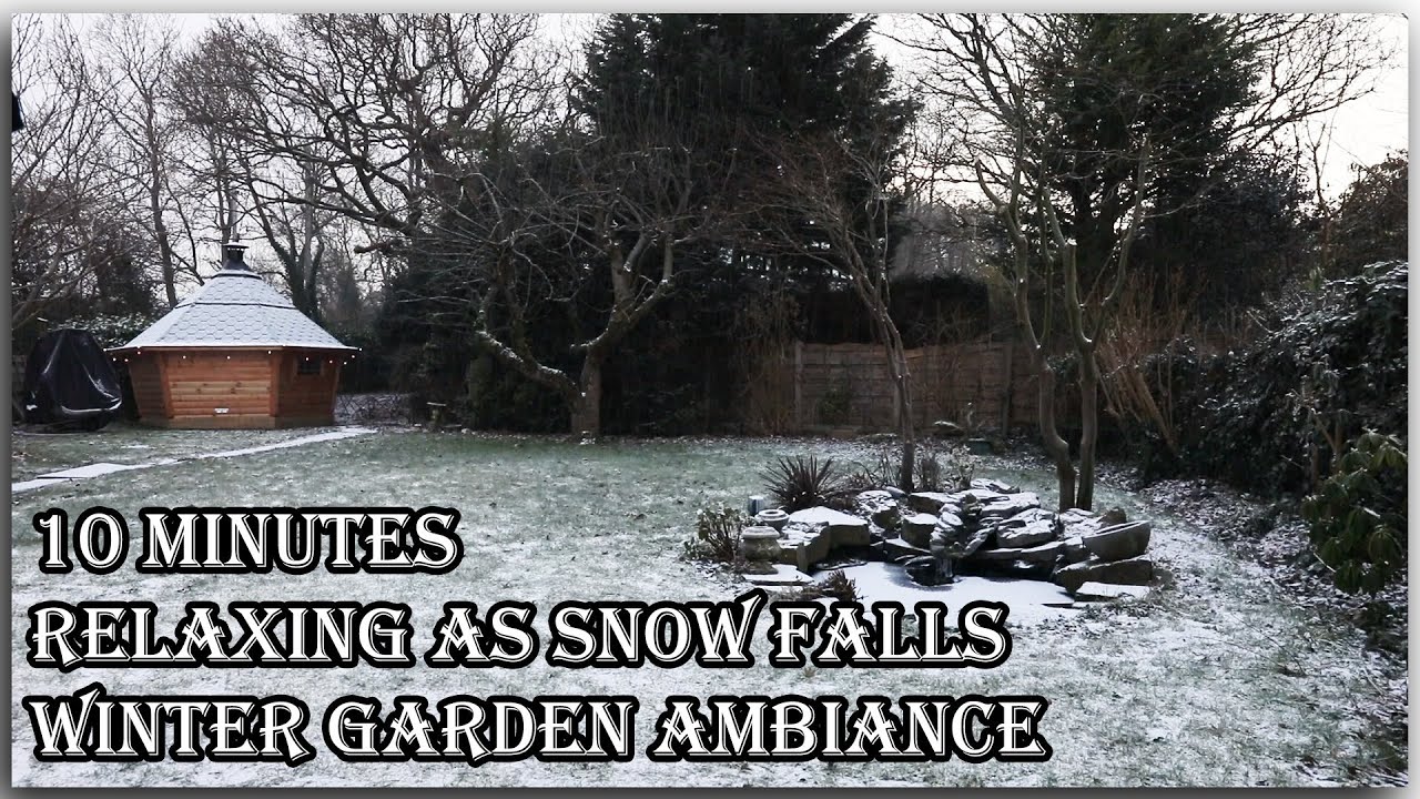Winter Garden Ambience ❄️ Gentle Snowfall & Calm Atmosphere