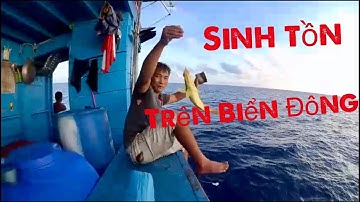 tập 1 : 28 Ngày trên Biển Đông Đánh Bắt Mực Ghim 