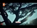 موت میماتی مع موسیقی حزین موت میماتی مع موسیقی حزین