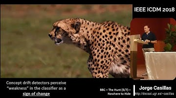 Concept Drift Detector in Data Stream Mining
