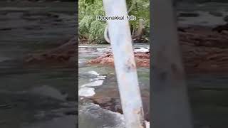 #nature #love #song #travel #shortvideo #hogenakkalwaterfalls #nearby dharmaburi#rojan,raavan mve pl