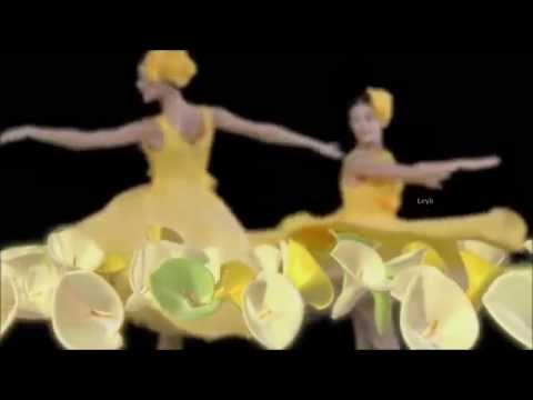 Karel Gott & Semino Rossi - La Paloma