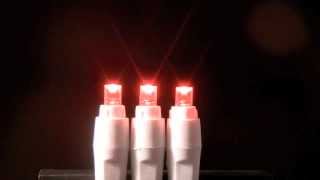 Red Wide Angle LED Christmas Lights