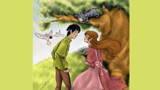 17 - Chapters 28-30