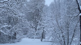 Our 1st winter in Michigan! ☃️ by Adventure with Two 120 views 2 years ago 3 minutes, 9 seconds