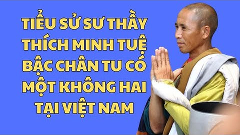 Thích Minh Tuệ tự nguyện dừng việc đi bộ khất thực