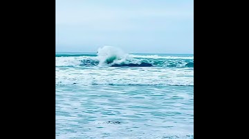 Thumbnail of Surfing the waves of Cayucos, California.