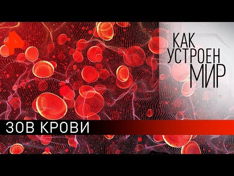 Зов крови. "Как устроен мир" с Тимофеем Баженовым (10.02.20).