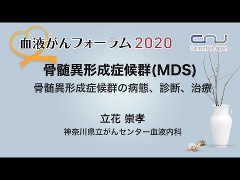 骨髄異形成症候群(MDS)