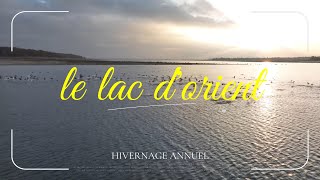 Le Lac Dorient En Hivernage Annuel