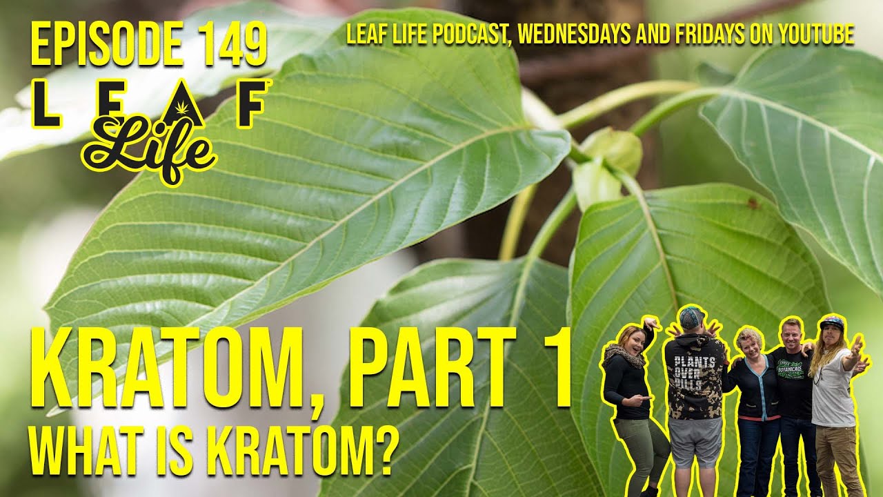 KRATOM, Part 1 - Leaf Life Podcast 149