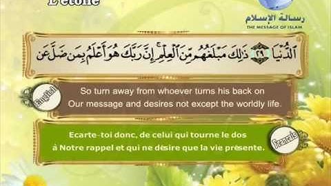سورة النجم - مصطفى اللاهوني
