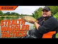 Pellet waggler fishing  dave wood  match fishing