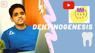 Dentinogenesis