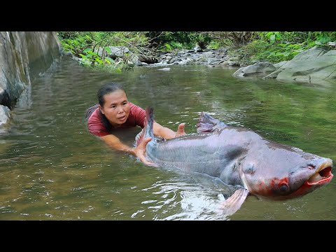 survival in the rainforest-found big fish in river with banana for cook & give to pets HD