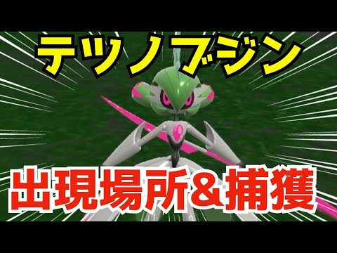 【ポケモンSV】テツノブジン出現場所&捕獲方法‼︎