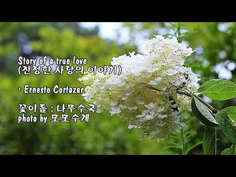 <strong>Story</strong> of a true love (진정한 사랑의 이야기)/Ernesto Cortazar &amp;<strong>amp</strong>; photo by 모모수계