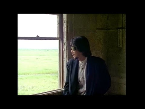 伊勢正三 / NEVER (Official Music Video)