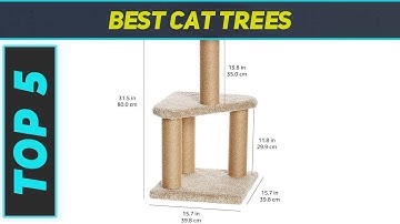 5 Best Cat Trees in 2023