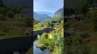 This Place Felt Like A Painting 😳 #lofotenislands