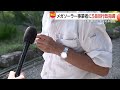 メガソーラー開発で伐採した大量の木を斜面に放置　開発区域は東京ドーム32個分　千葉県は事業者に行政指導58回　鴨川市