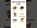 दुनिया के सबसे अनोखे जानवर / World's Most Unique Animals #shorts #gk #animals
