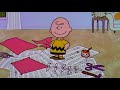 Peanuts: A Boy Named Charlie Brown