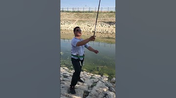Cần câu đài 6H rút gọn 30cm siêu nhẹ khỏe câu cá chép🎣🥰#fishingrod #fishing #shorts