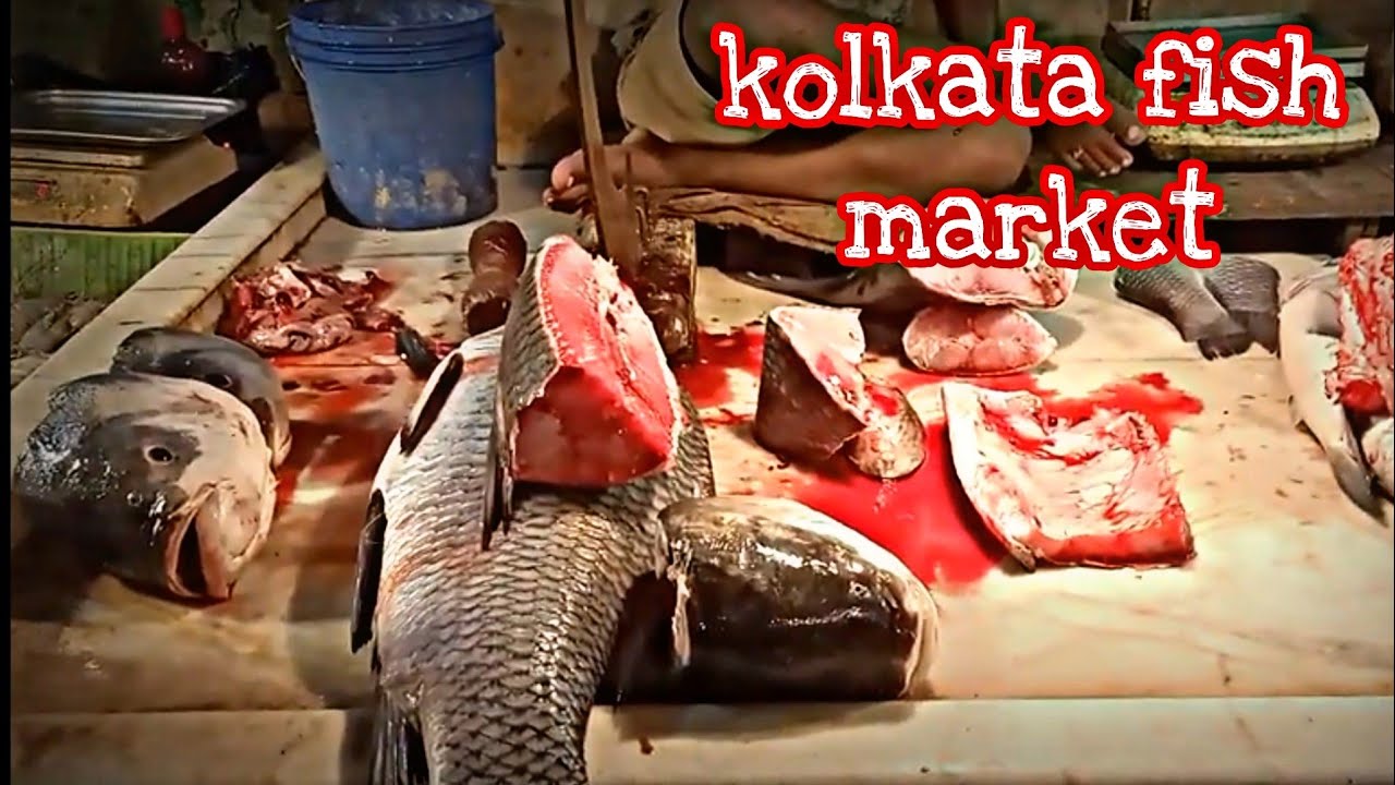 Kolkata Big Fish market Amezing Different types of lake fishes kolkatafishmarket 