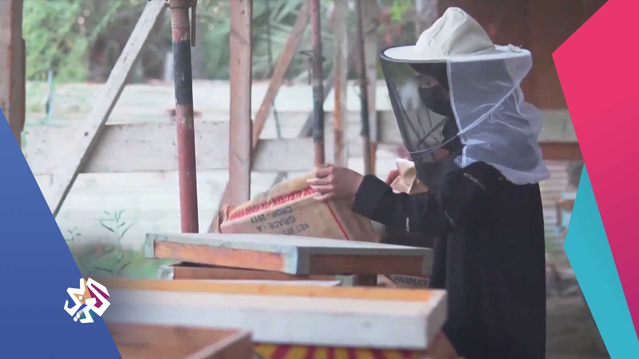 شابة سعودية تربّي النحل لتصبح أول نحالة في القطيف │ شبابيك