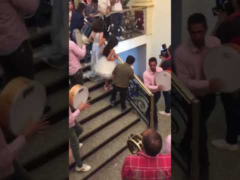 افراح المنوفية 1