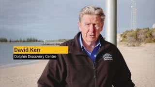Bunbury Geographe Growth Plan