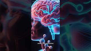 Dopamin Detox #dopaminedetox#dopaminereset#digitaldetox#minddetox#detoxyourmind