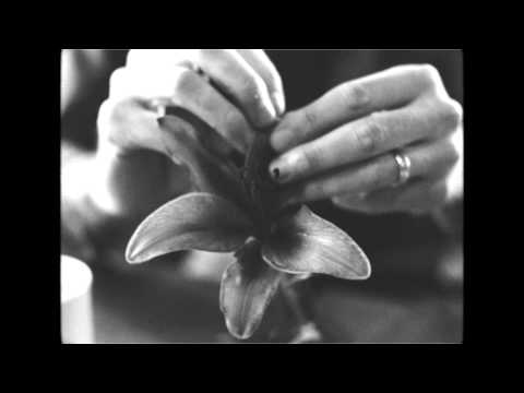 Putar Ark Song - Matt Costa