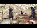 Gardening by the mysterious spring how to plant vegetables by a nomadic mother and son