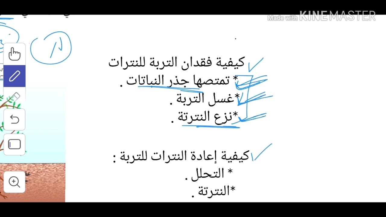 دورة النيتروجين