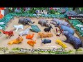 Explore The Wildlife of Africa The Ultimate Guide of African Wildlife Safari