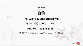 Mandarin Lunch and Learn, Session 31, The White Mume Blossoms: 02.03.23