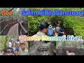 SalimAliBirdSanctuaryBird watching area in Chorao, Goa