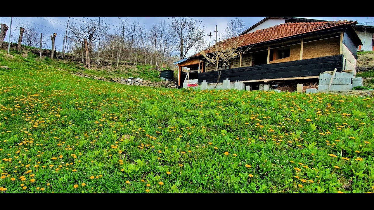 VIAȚA LA ȚARĂ ÎN WEEKEND - CUM AM CUMPĂRAT O CASĂ PĂRĂSITĂ LA MUNTE ȘI O RENOVĂM SINGURI!