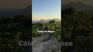 Cotes du Rhone #winetasting #wine #provence #france #cotesdurhone #rhonevalley #rhônealpes #travel