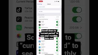 How to determine your monthly data usage on an iPhone screenshot 5