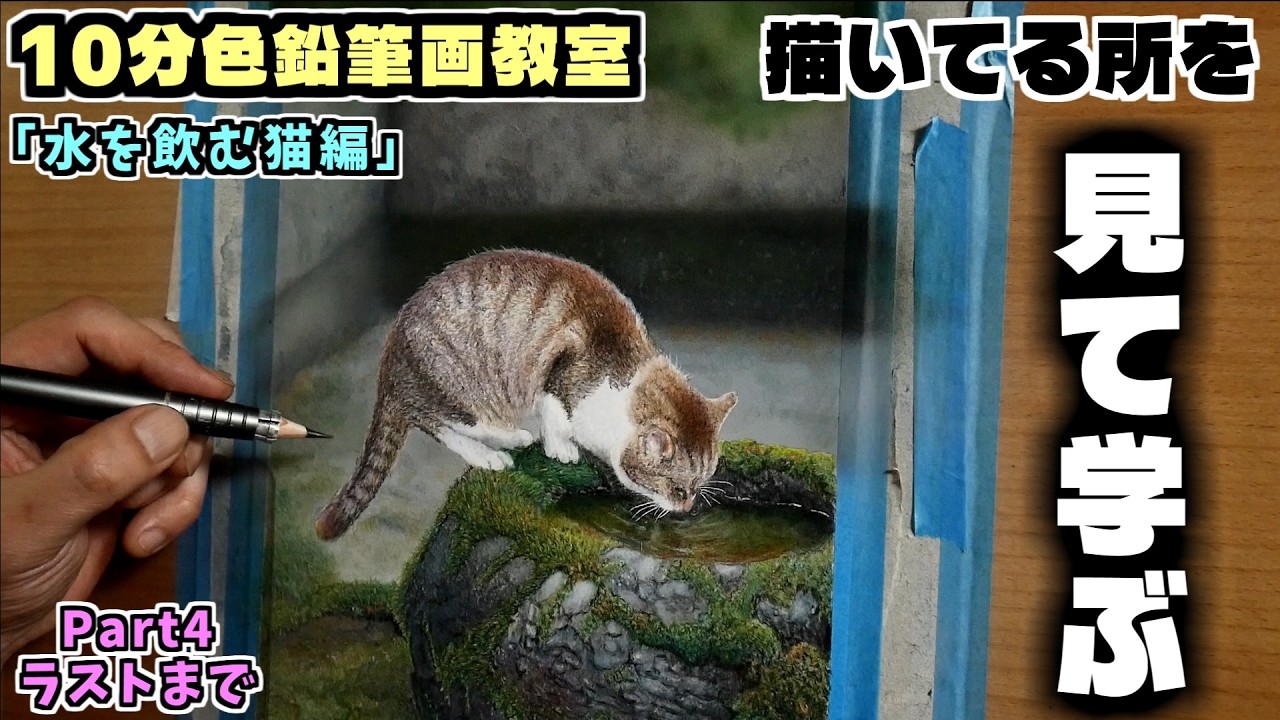 10分色鉛筆画教室】見て学ぶ水を飲むネコの描き方Part4ラスト - YouTube