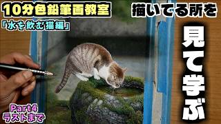 10分色鉛筆画教室】見て学ぶ水を飲むネコの描き方Part4ラスト - YouTube