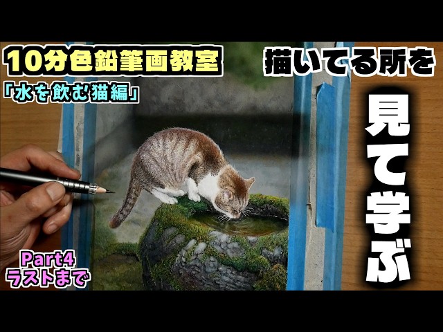 10分色鉛筆画教室】見て学ぶ水を飲むネコの描き方Part4ラスト - YouTube