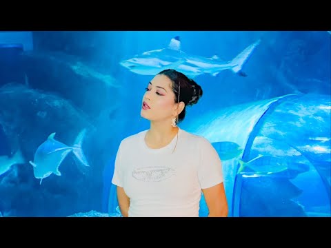 Sea world ocean life 🪼🐟🐋 || zoya sheikh || #thailand #bangkok #vlog #zoyasheikh